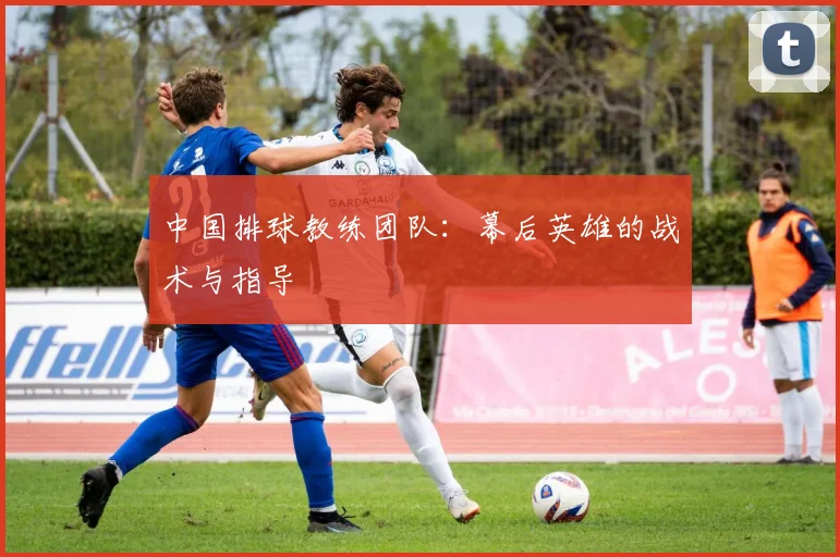 中国排球教练团队：幕后英雄的战术与指导