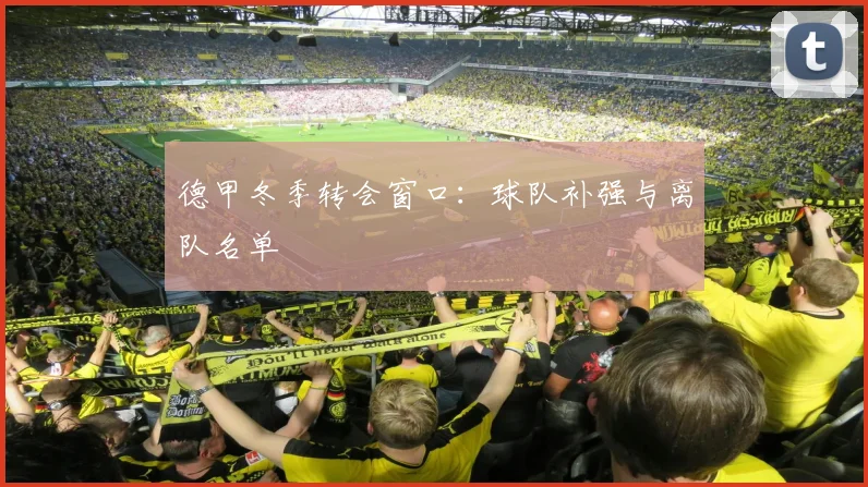 德甲冬季转会窗口：球队补强与离队名单