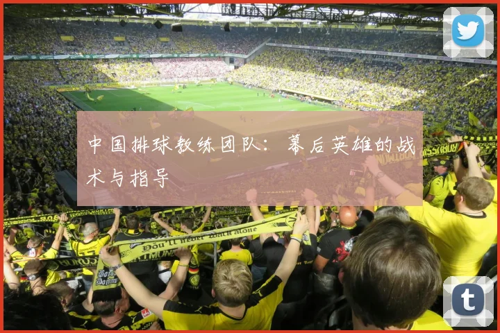 中国排球教练团队：幕后英雄的战术与指导
