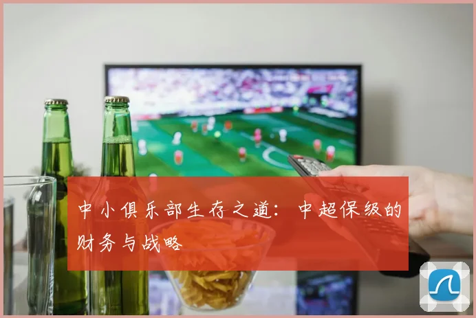 中小俱乐部生存之道：中超保级的财务与战略