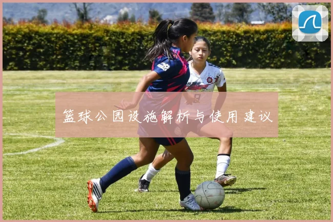 篮球公园设施解析与使用建议